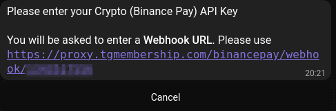 Connect Binance Pay with your bot